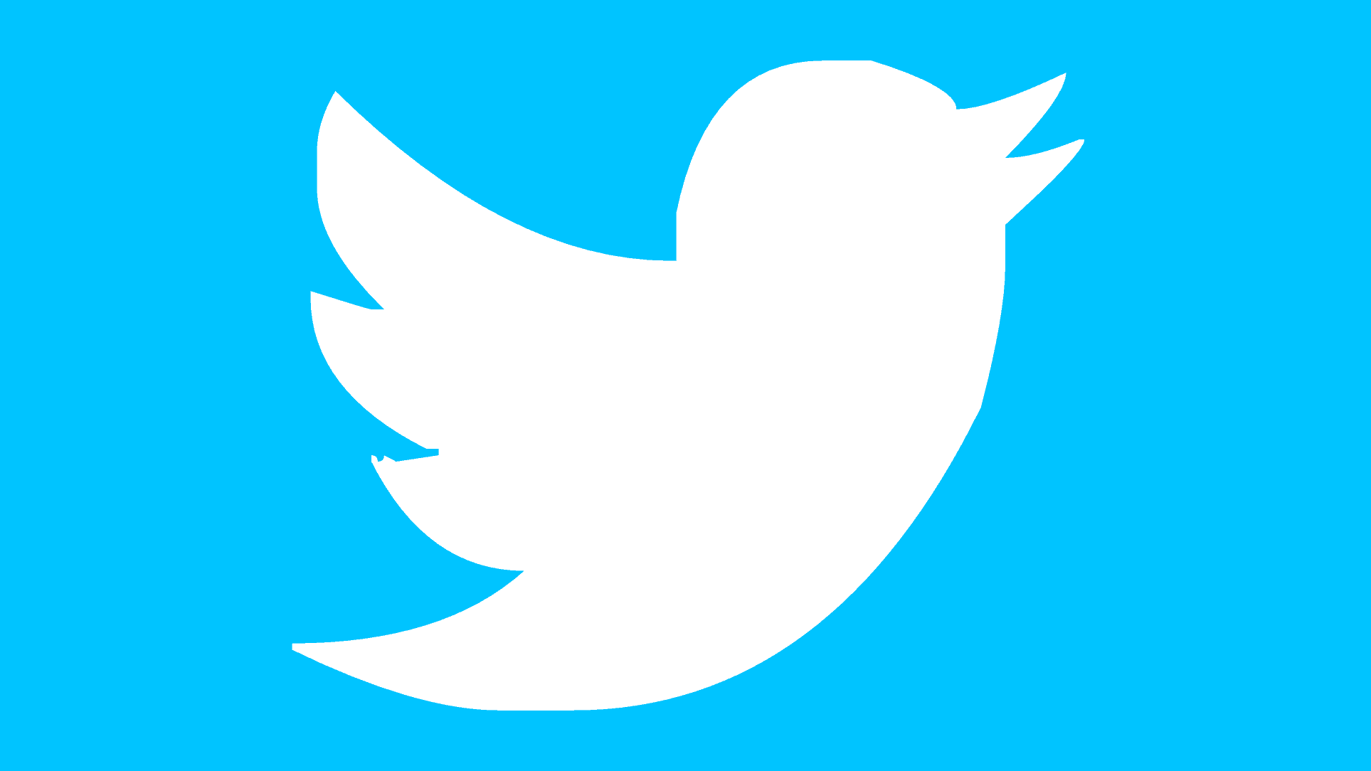 twitter logo