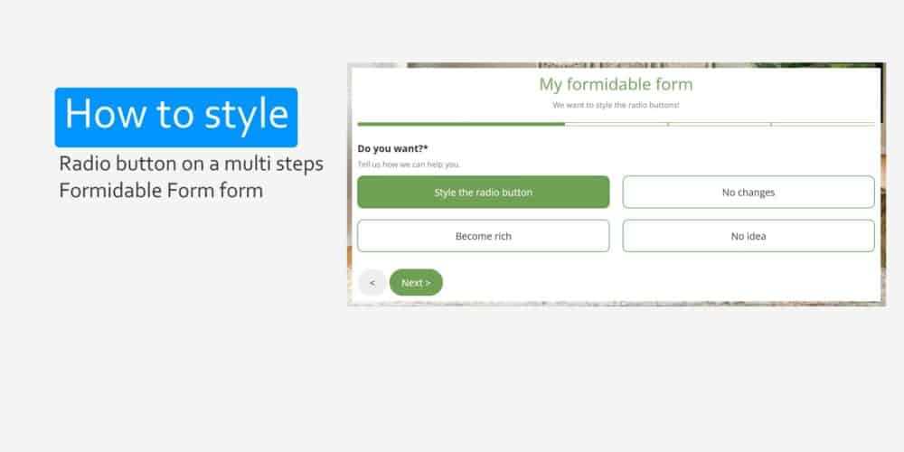 radio button formidable form style fi min