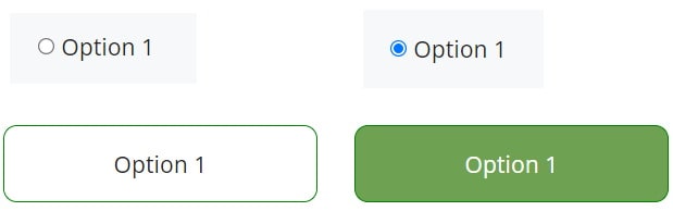 How to style radio button in a muti steps Formidable Form