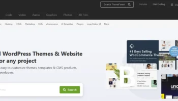 Buy your theme on ThemeForest : the free guide !