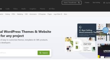 Buy your theme on ThemeForest : the free guide !
