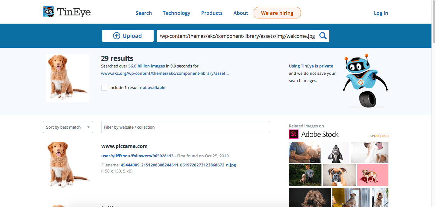 Reverse Image Search Easily find where a photo is from! DebugBar