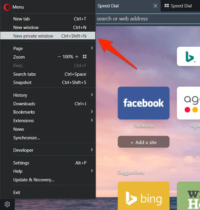 open new private window in opera browser