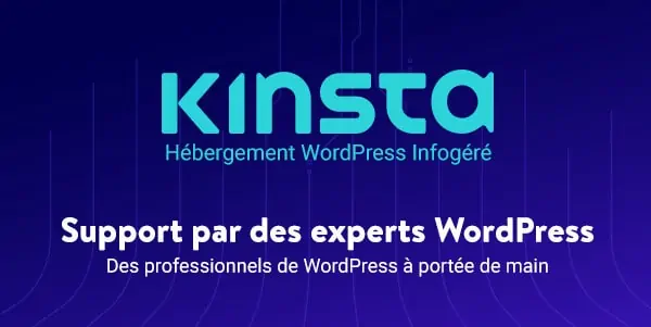 kinsta support wordpress