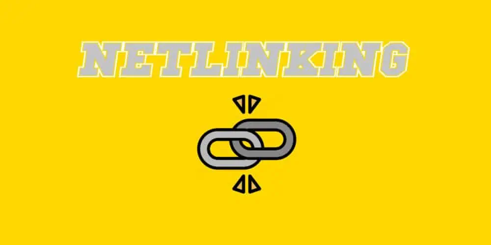 netlinking