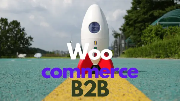 woocomerce-b2b