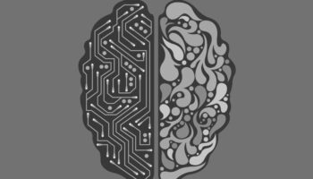 Top 8 open source AI models to elevate your projects